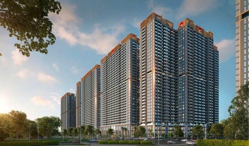 The Flame Vine Hoài Đức